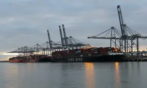 Große Containerschiffe liegen im Hafen unter Kränen, mit dem Schriftzug "YANG MING".
