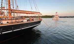 Ein majestätisches Albatros Segelschiff wird von einem Schlepper gezogen. Die Sonne geht unter und taucht das Wasser in ein warmes Licht.