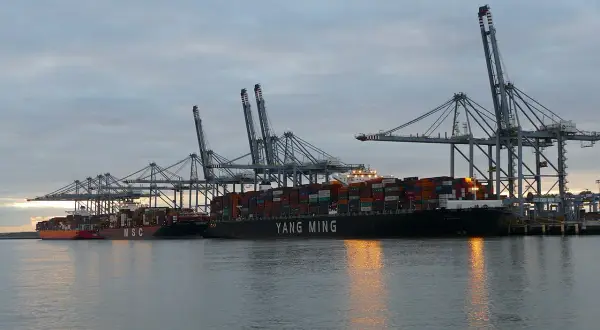 Große Containerschiffe liegen im Hafen unter Kränen, mit dem Schriftzug "YANG MING".