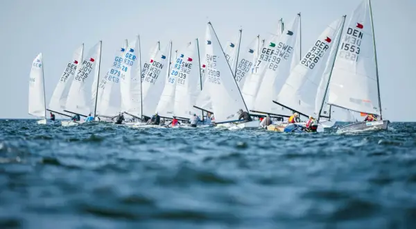 Viele Boote segeln bei der Kieler Woche. Die weißen Segel sind mit Länderkürzeln und Nummern beschriftet.