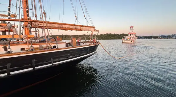 Ein majestätisches Albatros Segelschiff wird von einem Schlepper gezogen. Die Sonne geht unter und taucht das Wasser in ein warmes Licht.
