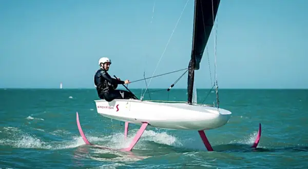 Ein Mann in Neoprenanzug und Helm steuert ein Boot mit pinken Flügeln, das über das Wasser gleitet. Das ist modernes Foil Segeln.