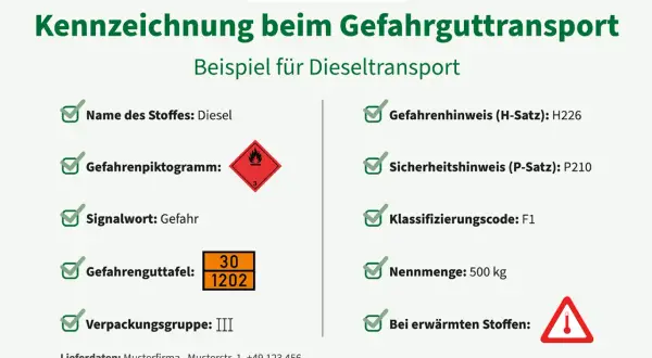 Kennzeichnung von Diesel als Gefahrgut: Piktogramm, Signalwort "Gefahr", Gefahrenguttafel 30/1202, Verpackungsgruppe III, H-Satz H226, P-Satz P210, Klassifizierungscode F1.