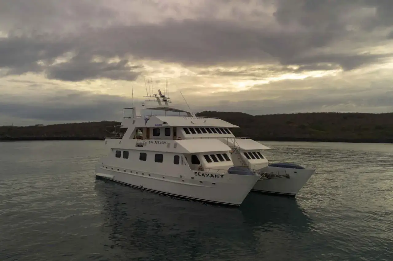Ein Katamaran-Yacht namens